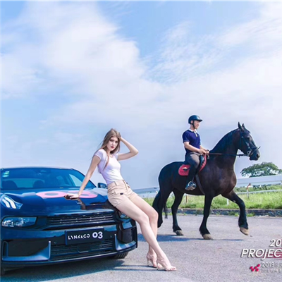 領(lǐng)克03駕控體驗營