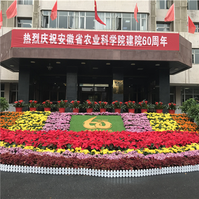 支徽農業(yè)科學院建院60周年慶